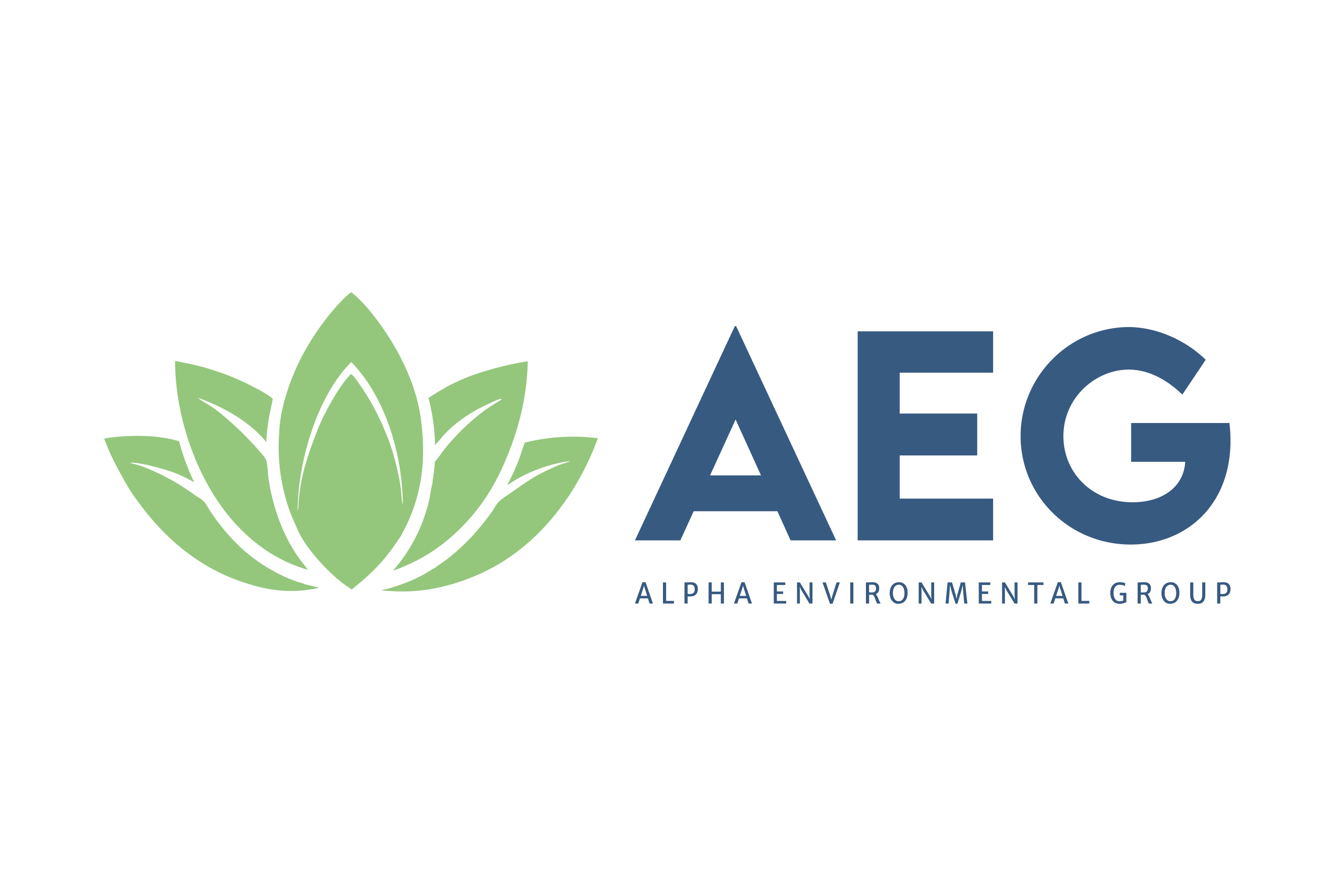 Alpha Environmental Group, PT logo