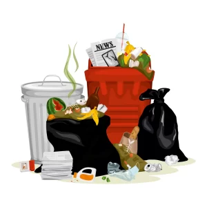 Delhi's-Waste-Management